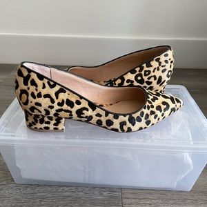 Steve Madden Leopard Shoes